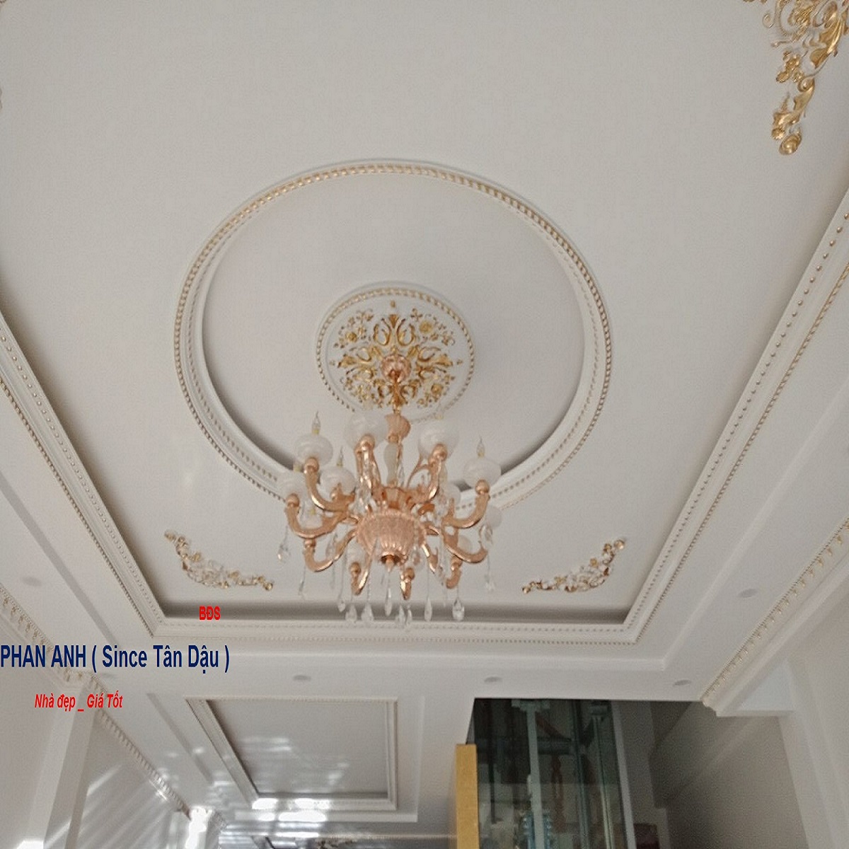 🏠 Bán Gấp Nhà Phố Thủ Đức – Vị Trí Vàng – Thang Máy Nội Thất V.I.P ! - Ảnh 5